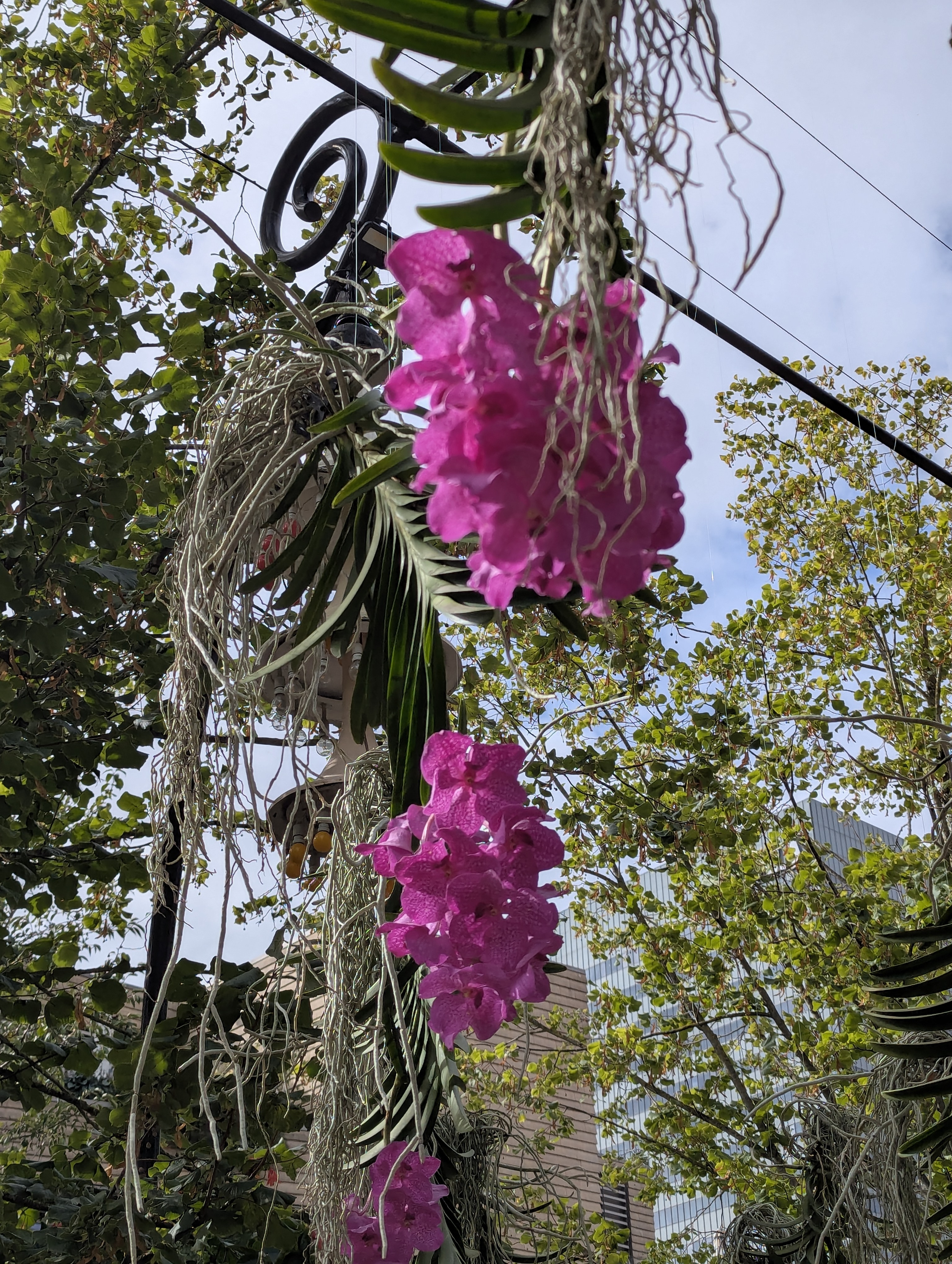 Copenhagen, SSPC, Tivoli, Denmark